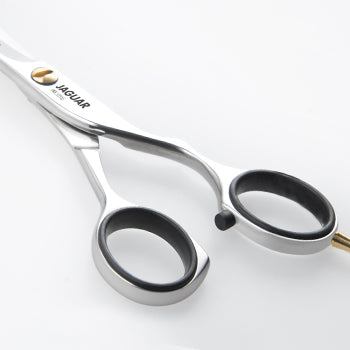 Collections – Jaguar