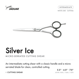 Silver Ice