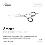 Smart