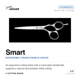 Smart