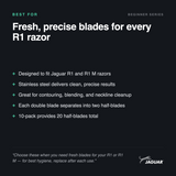 R1 Blades (10 pk)