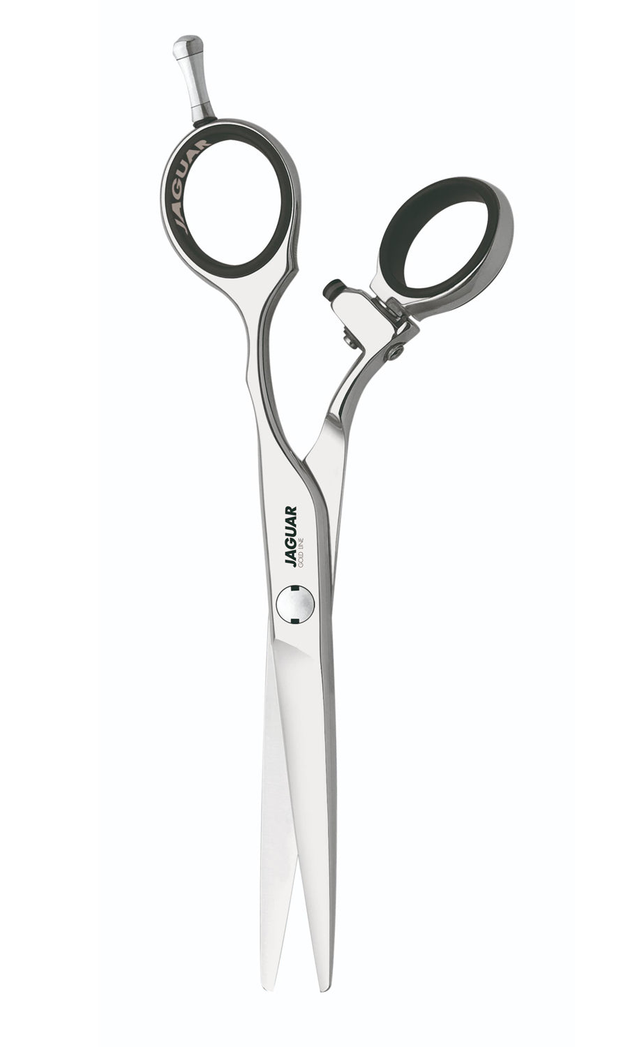 【CBS】JAGUAR SOLINGEN Kikuboshi FLEX 2013_ConvexFlex_Goldline_web.